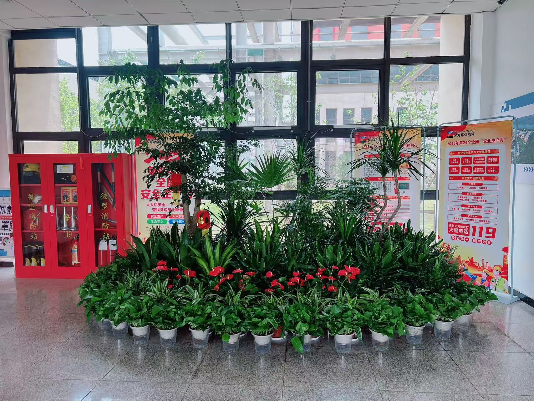 江北花木租赁哪家好